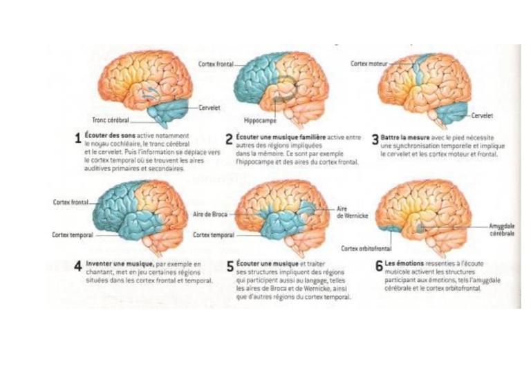 page1-1280px-Le_traitement_de_la_musique_par_le_cerveau..pdf