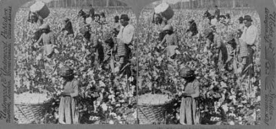 capitalism_-_slavery