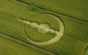 crop-circle-du-9-juin-2013-italy
