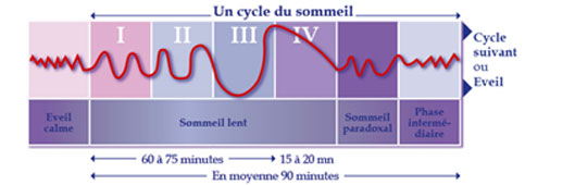 cycles-du-sommeil