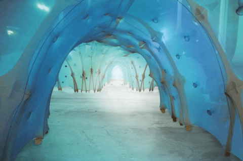 The_Edges_of_the_World_Southbank_cntre_photo