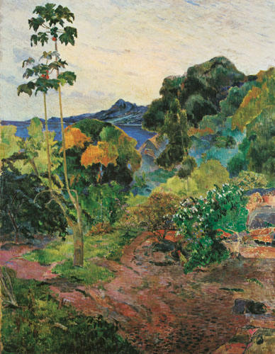 landschaft_auf_martinique