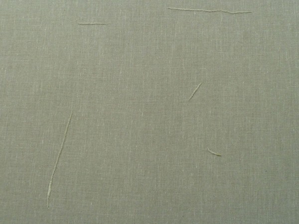 L1020339-e1431939901347