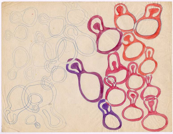 e5647842be4cc522b188290345a52756