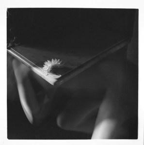 FW504_Untitled-Antella-Italy_11977-1978-_I.165_