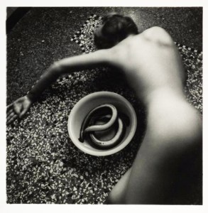 woodman-anguille-rome-mai1977-aout-1978