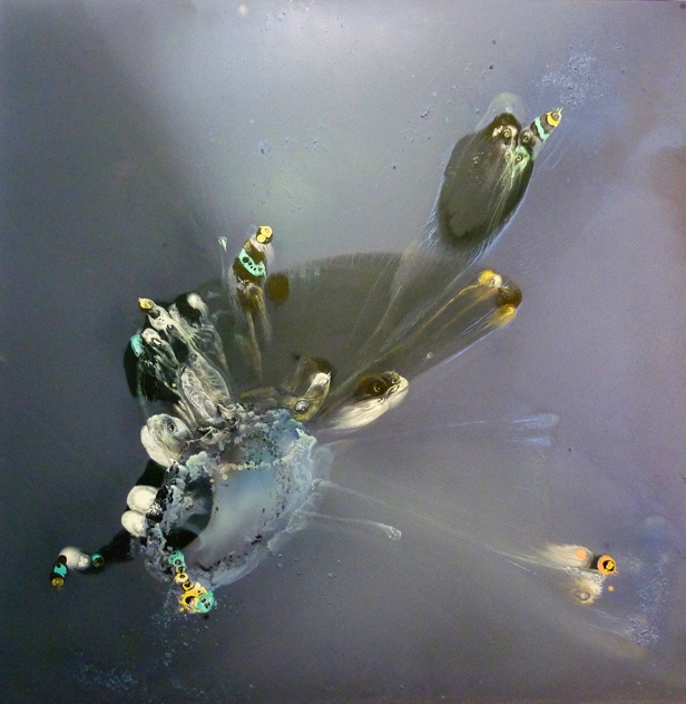 infusion-d0027une-roue_lionel-sabatte_2015_acrylique-et-huile-sur-toile_195x195-cm_web