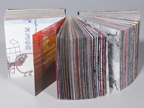 2009cc0061_roth_artist_book_custom_290x218_062085553